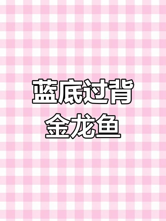 古典藍(lán)底金龍魚選購技巧