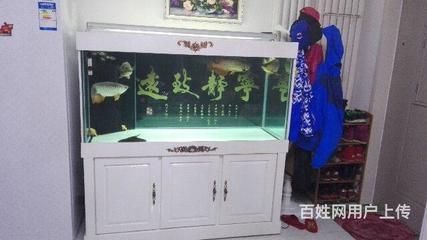 1米長40公分寬的魚缸能養(yǎng)龍魚嗎：1米長、40公分寬的魚缸適合養(yǎng)什么魚？
