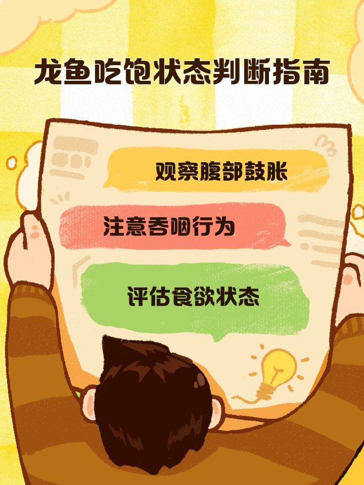 如何判斷白子招財龍是否吃飽？
