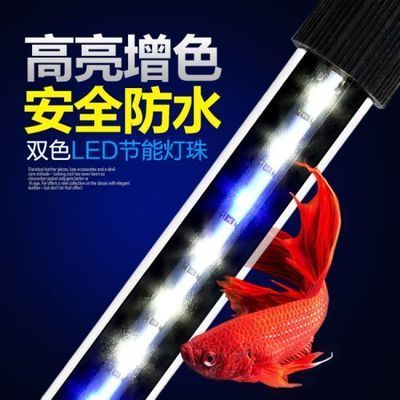 龍魚專用潛水燈，龍魚專用潛水燈使用注意事項