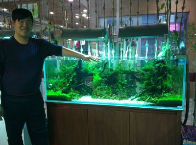 祥龍魚場d水族館加盟：昆明祥龍魚場加盟 祥龍魚場d水族館加盟：昆明祥龍魚場加盟 龍魚百科 第3張