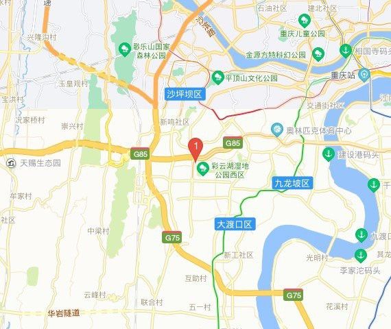 重慶分店的具體地址在哪里？ 重慶分店的具體地址在哪里？ 龍魚百科 第5張