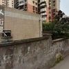 重慶分店的具體地址在哪里？ 重慶分店的具體地址在哪里？ 龍魚百科 第2張