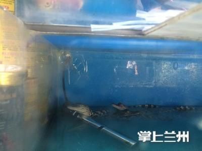 龍魚長(zhǎng)寄生蟲用什么藥好：治療龍魚體內(nèi)寄生蟲的常用藥物