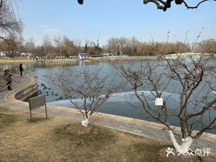 北京哪里的龍魚比較好釣啊：北京哪里有靠譜的釣魚地點 北京哪里的龍魚比較好釣啊：北京哪里有靠譜的釣魚地點 龍魚百科 第3張