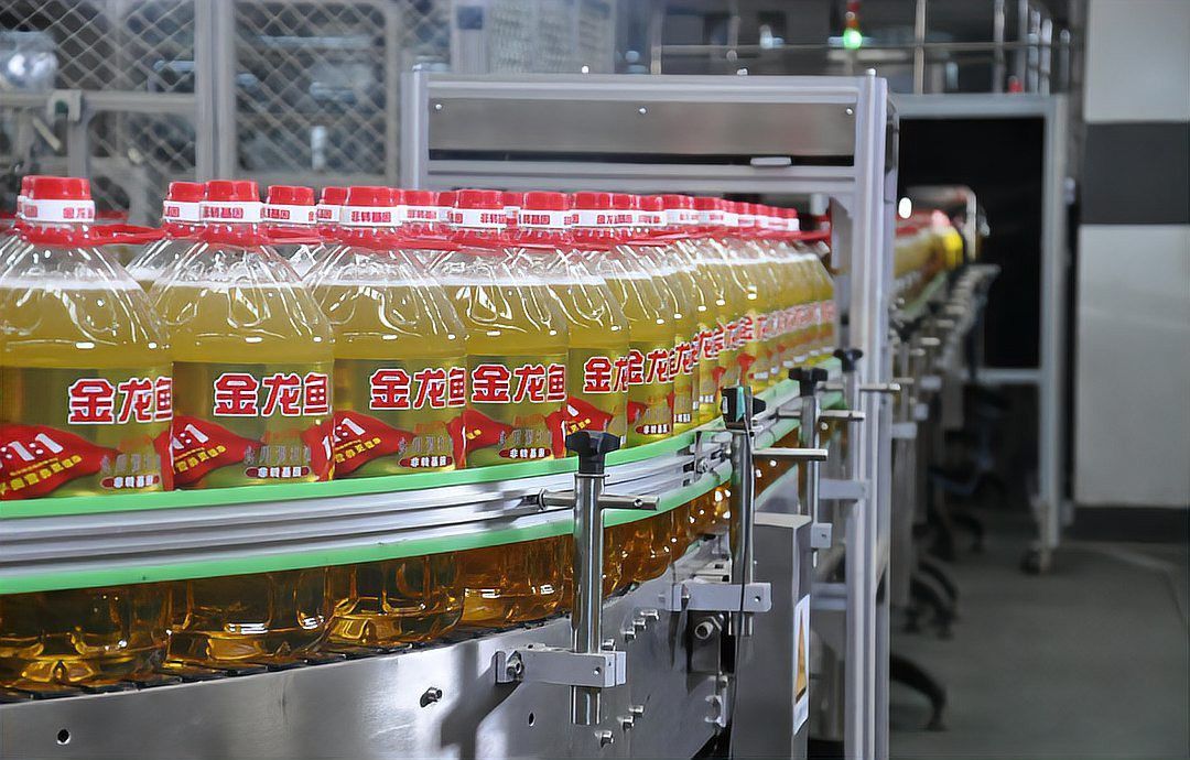 金龍魚的產(chǎn)品質(zhì)量如何？ 金龍魚的產(chǎn)品質(zhì)量如何？ 龍魚百科 第7張