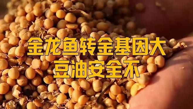 金龍魚的產(chǎn)品質(zhì)量如何？ 金龍魚的產(chǎn)品質(zhì)量如何？ 龍魚百科 第6張