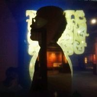 金龍魚發色最忌三種顏色 金龍魚發色最忌三種顏色 龍魚百科 第2張