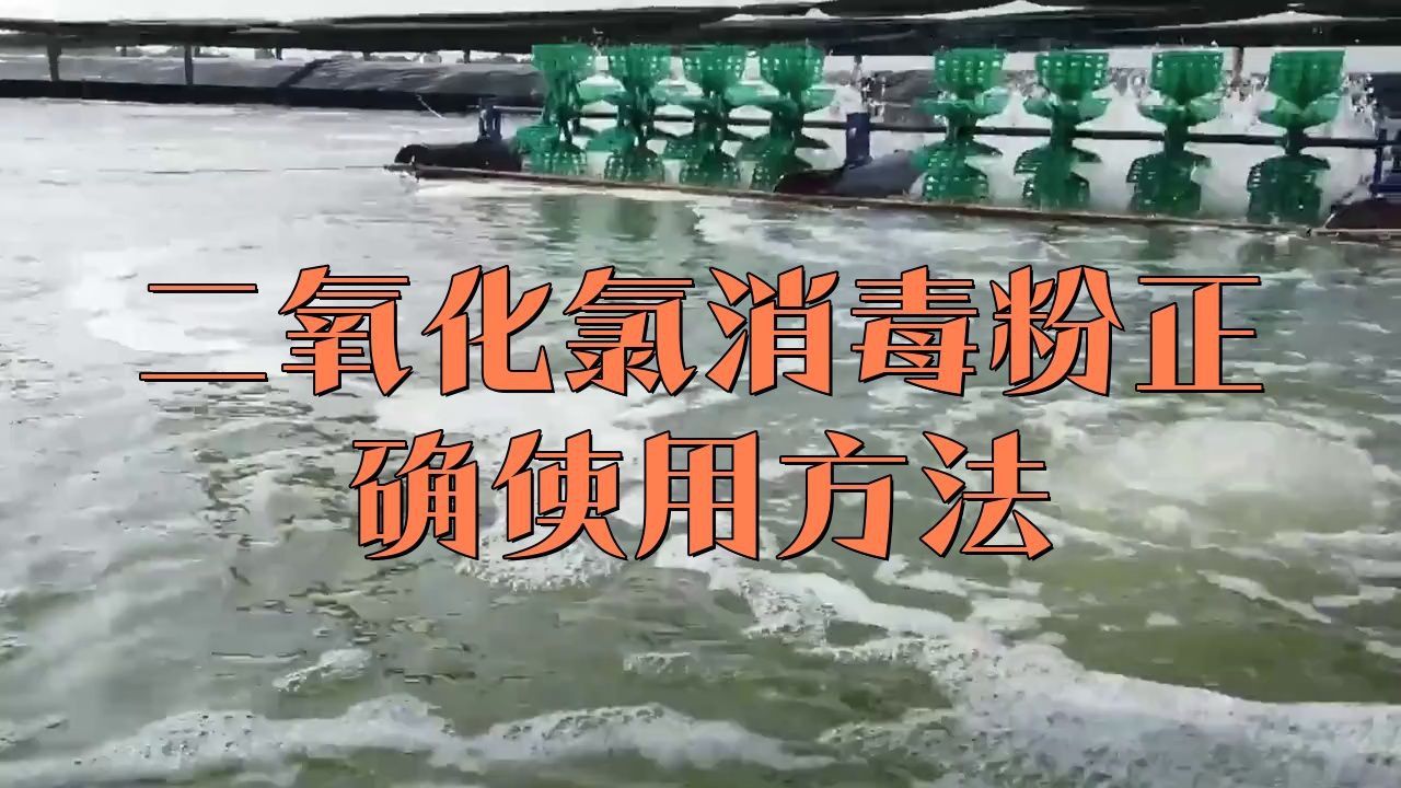 二氧化氯消毒劑如何使用 龍魚百科 第4張 二氧化氯消毒劑如何使用 二氧化氯消毒劑如何使用 龍魚百科 第4張