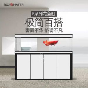 金龍魚兇不兇怎么看品相：金龍魚的兇猛程度與其品相應(yīng)密切相關(guān)的金龍魚品相特點(diǎn)