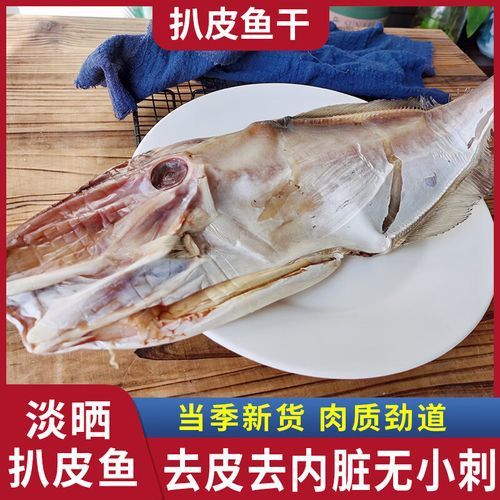 金禾金龍魚有哪些系列？