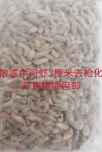 紅龍魚喂什么蝦最好養