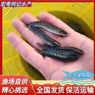 龍魚證書上沒有漁場電話網站(龍魚證書上沒有漁場電話網站怎么辦理?) 龍魚百科 第2張 龍魚證書上沒有漁場電話網站(龍魚證書上沒有漁場電話網站怎么辦理?) 龍魚證書上沒有漁場電話網站(龍魚證書上沒有漁場電話網站怎么辦理?) 龍魚百科 第2張