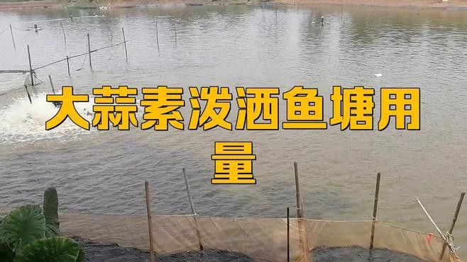 如何給龍魚投喂大蒜素 如何給龍魚投喂大蒜素 龍魚百科 第1張