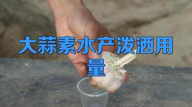 如何給龍魚投喂大蒜素 如何給龍魚投喂大蒜素 龍魚百科 第3張