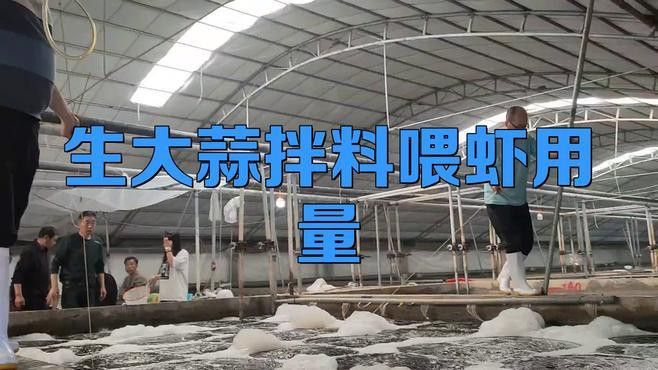 如何給龍魚投喂大蒜素 如何給龍魚投喂大蒜素 龍魚百科 第6張