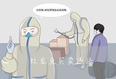 賣紅龍魚犯法嗎怎么處理：買賣紅龍魚應該謹慎選擇寵物，避免觸犯法律問題