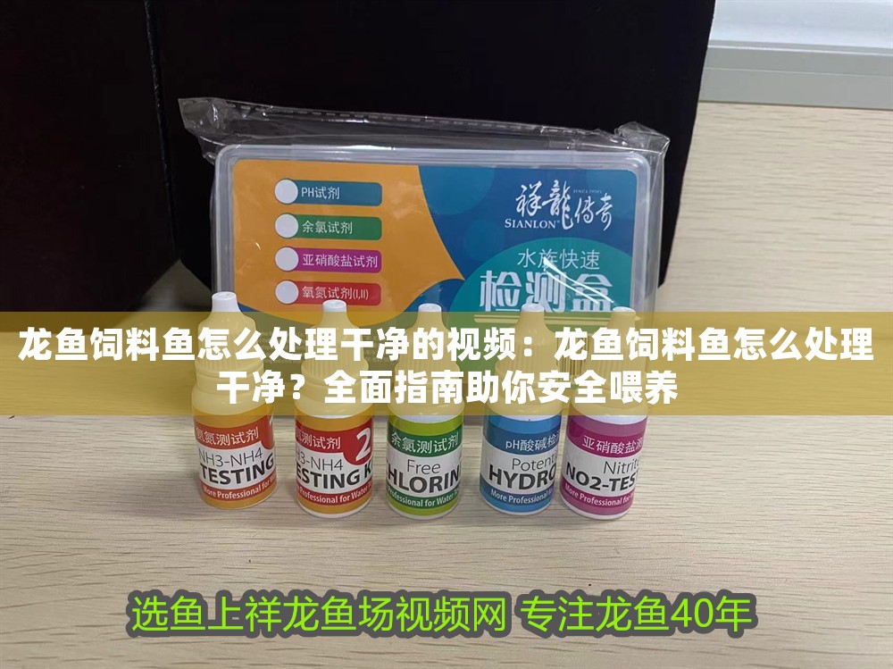 龍魚(yú)飼料魚(yú)怎么處理干凈的視頻：龍魚(yú)飼料魚(yú)怎么處理干凈？全面指南助你安全喂養(yǎng)