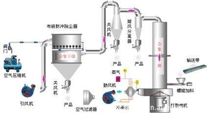 龍魚飼料魚怎么處理干凈的視頻：龍魚飼料魚怎么處理干凈？全面指南助你安全喂養(yǎng)