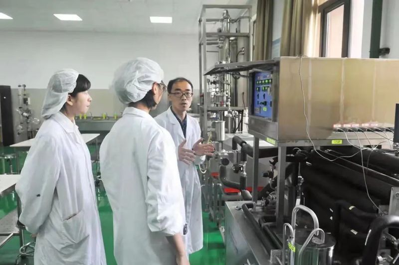 龍魚酥是什么魚做的