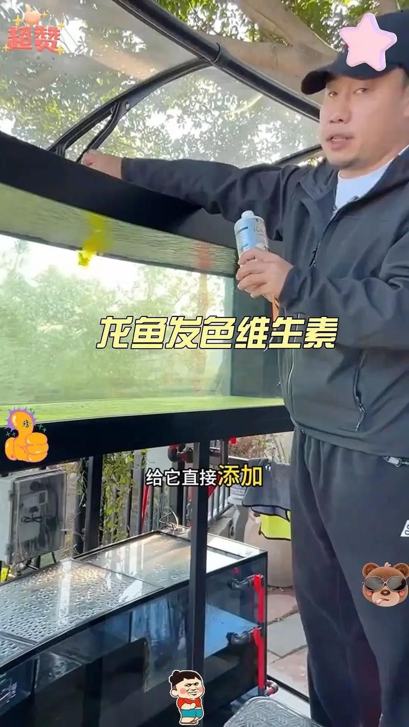 龍魚跳缸是什么原因呢怎么解決圖片