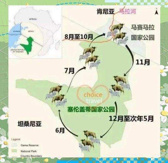 馬拉莫魚壽命受什么影響