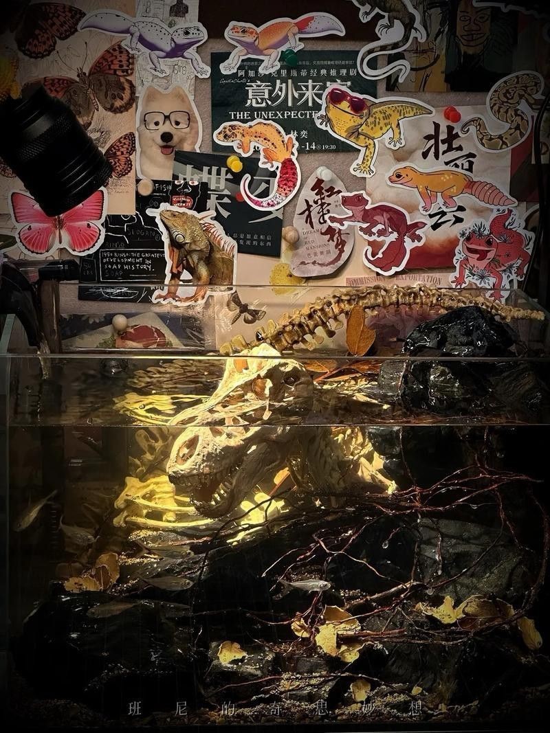 虎皮恐龍魚如何養才活久一些