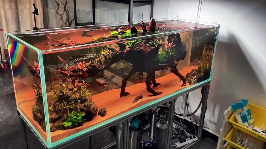 虎皮恐龍魚如何養才活久一些