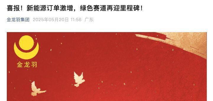 金龍羽訂單未公告回應