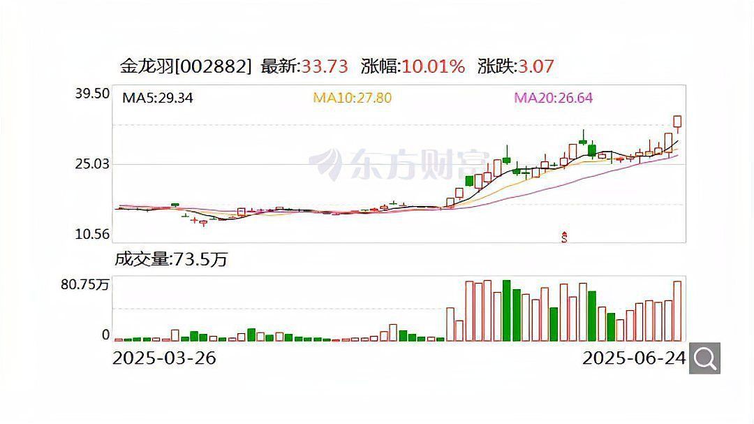 金龍羽訂單未公告回應