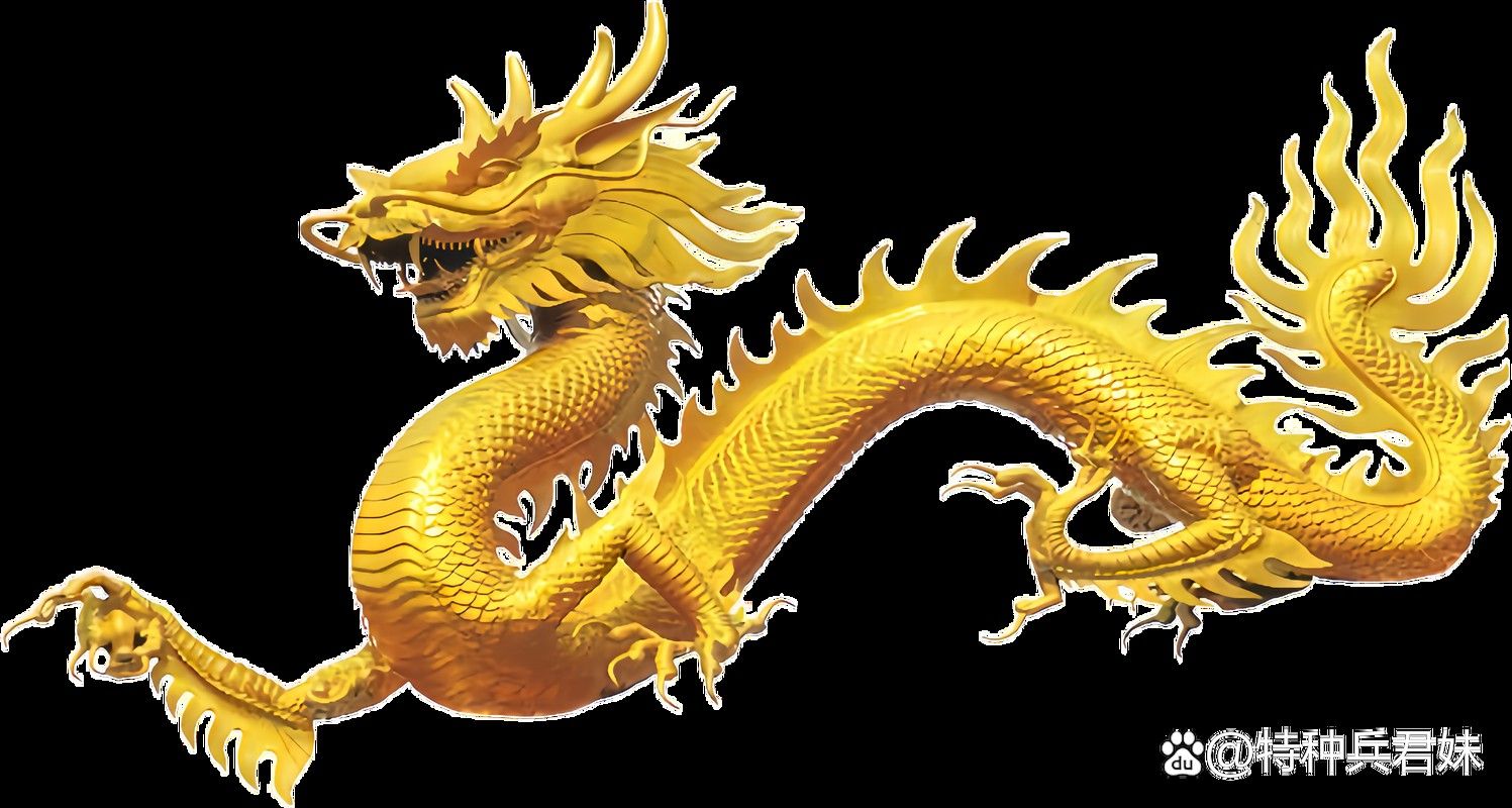 哪里可以找到高清金龍圖片？ 哪里可以找到高清金龍圖片？ 龍魚百科 第43張