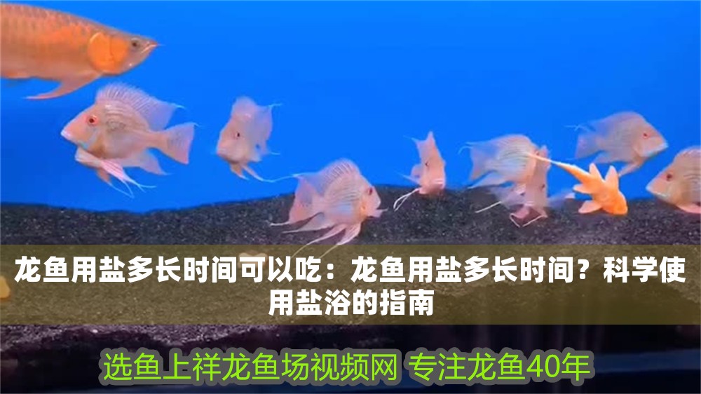 龍魚用鹽多長時間可以吃：龍魚用鹽多長時間？科學使用鹽浴的指南