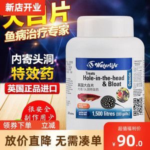 龍魚腸炎大白片的使用方法：龍魚腸炎大白片怎么用大白片治療龍魚腸炎的使用方法 龍魚腸炎大白片的使用方法：龍魚腸炎大白片怎么用大白片治療龍魚腸炎的使用方法 龍魚百科 第2張