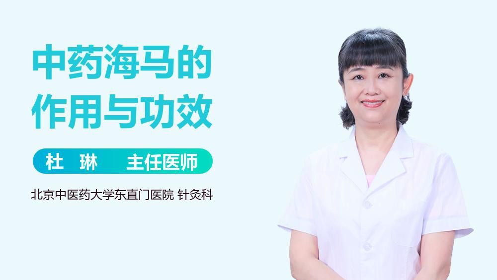 海馬和海龍的價格是多少？