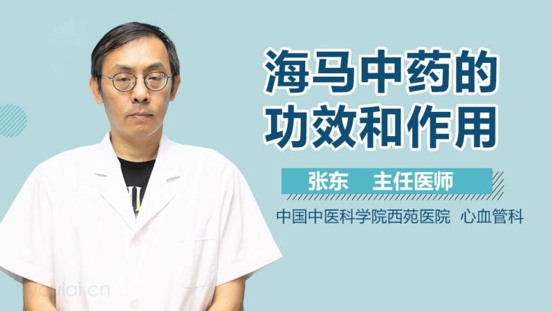 海馬和海龍的價格是多少？