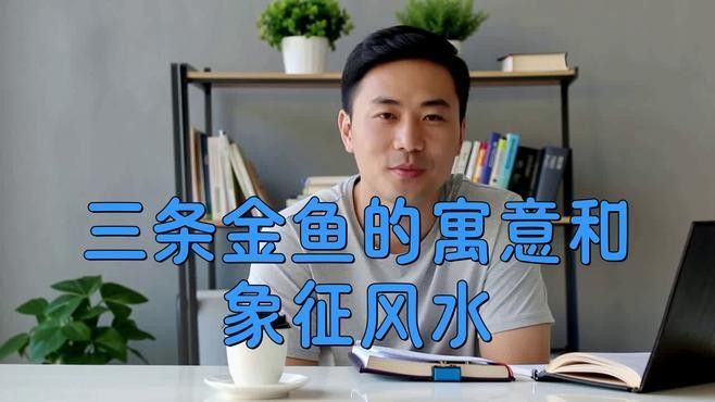 藍(lán)龍魚可以和什么魚混養(yǎng)呢圖片大全