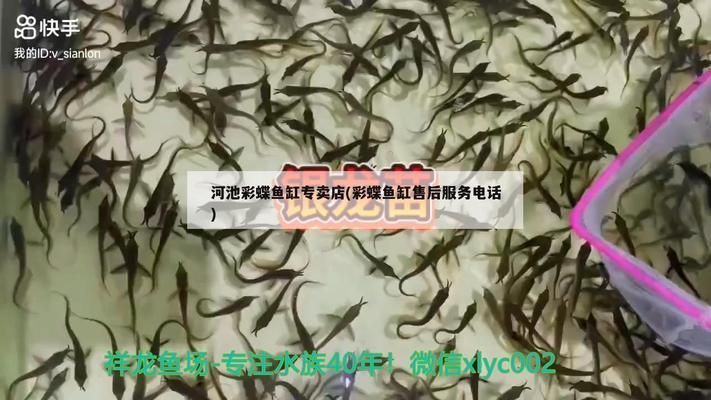 彩蝶魚缸售后服務電話地址在哪里?。ú实~缸保養小技巧彩蝶魚缸常見故障及解決方法）