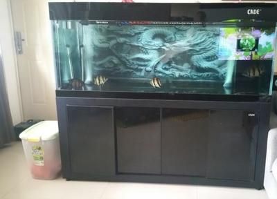 彩蝶魚缸售后服務電話地址在哪里?。ú实~缸保養小技巧彩蝶魚缸常見故障及解決方法）