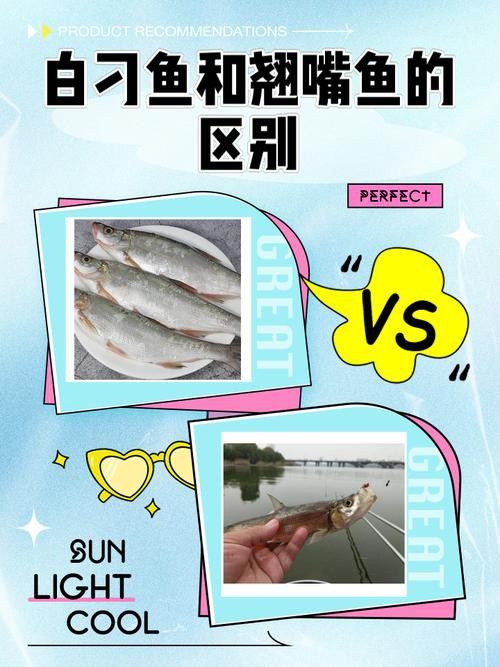 翹嘴魚和金龍魚的區(qū)別在哪里圖片