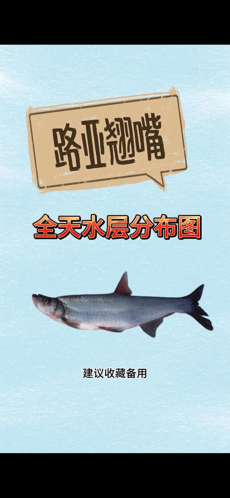 翹嘴魚和金龍魚的區(qū)別在哪里圖片