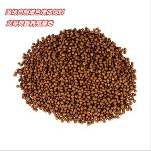 什么品種的紅龍魚最好看又好養的魚：什么品種的紅龍魚好看