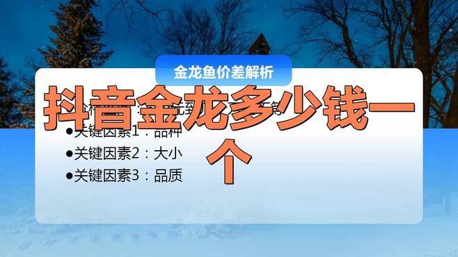 金龍魚在哪買便宜 金龍魚在哪買便宜 龍魚百科 第3張