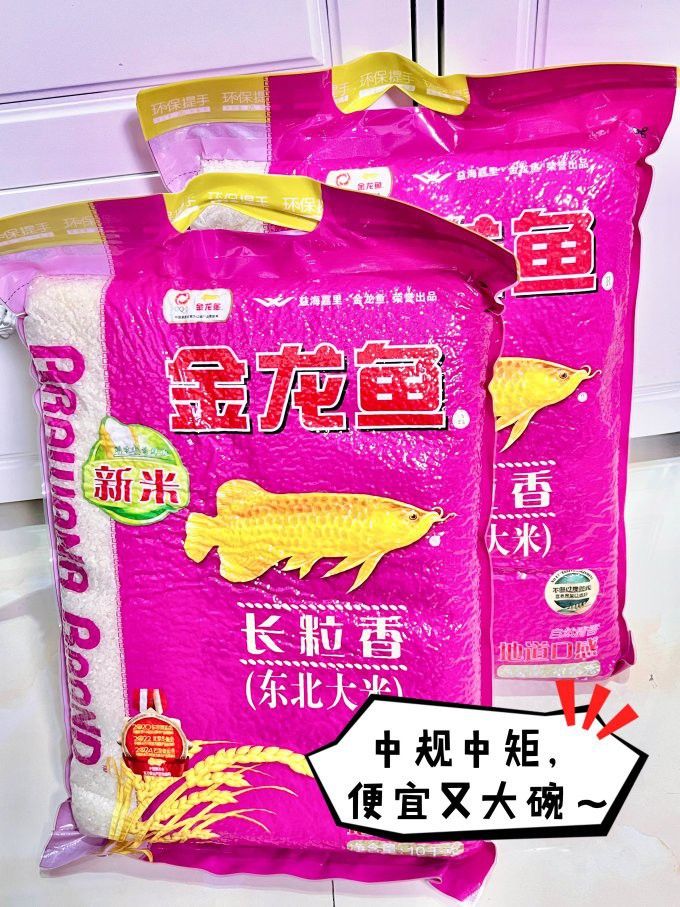 金龍魚在哪買便宜 金龍魚在哪買便宜 龍魚百科 第6張