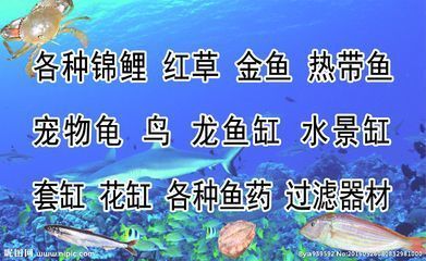 紅龍魚光照周期的最佳實(shí)踐：紅龍魚光照周期模擬技巧