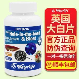 金龍魚白點病用什么藥：白點病的治療方法