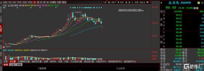 金龍魚 同花順（金龍魚投資策略）