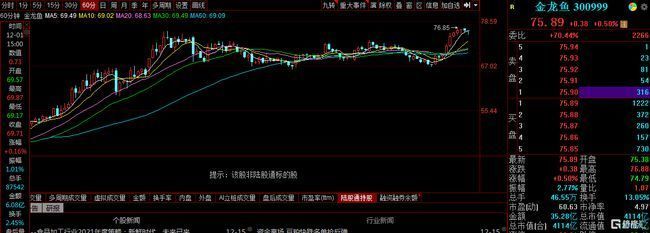 金龍魚 同花順（金龍魚投資策略）