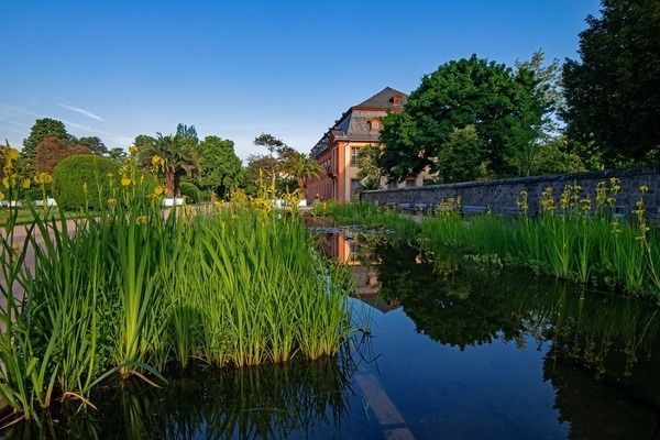 印尼小紅龍魚品牌營銷案例分析：印尼小紅龍魚品牌利用社交媒體平臺和網紅合作增強客戶忠誠度