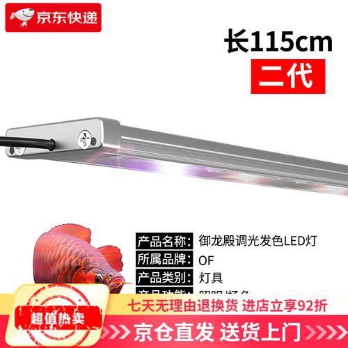 紅金龍魚飼養需要哪些專用設備？