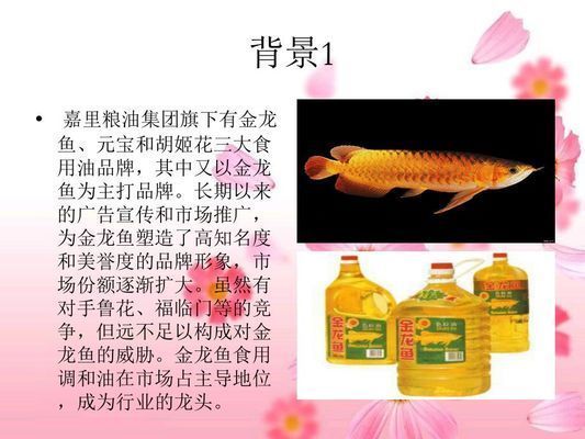 金龍魚(yú)說(shuō)明文600字（金龍魚(yú)的日常養(yǎng)護(hù)技巧，金龍魚(yú)的選購(gòu)指南） 金龍魚(yú)說(shuō)明文600字（金龍魚(yú)的日常養(yǎng)護(hù)技巧，金龍魚(yú)的選購(gòu)指南） 龍魚(yú)百科 第2張